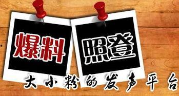 兰州新闻爆料平台官网,聚焦城市脉搏，传递市民声音  第1张